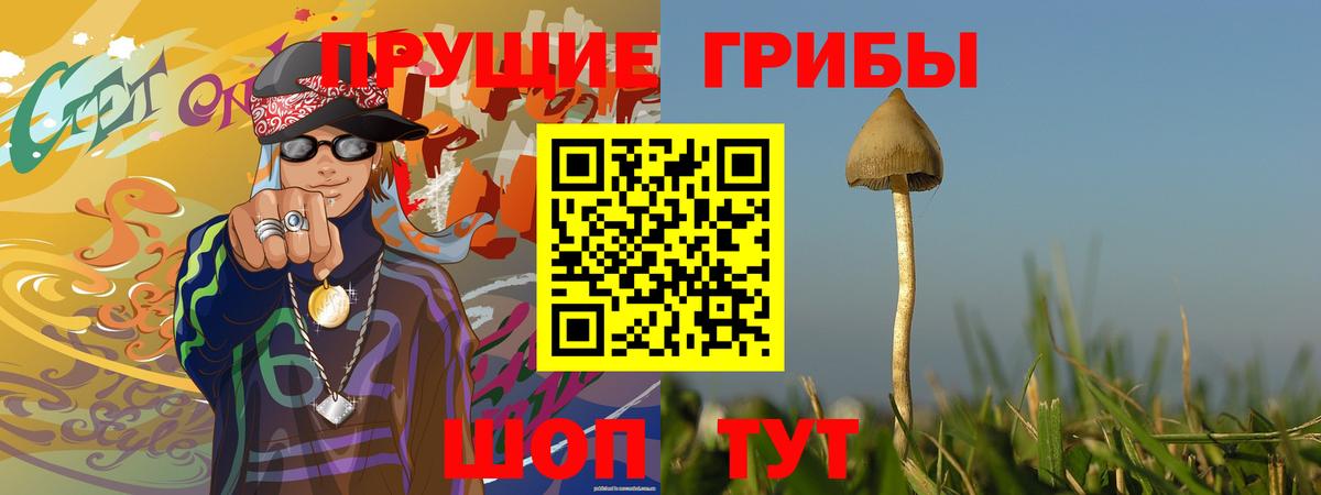 продажа наркотиков  Псилоцибиновые грибы MAGIC MUSHROOMS  Нефтекумск  Вход с VPN  Псилоцибиновые грибы Psilocybine cubensis 