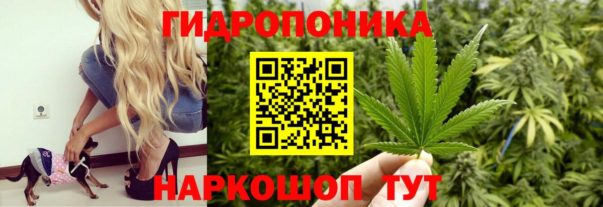 Канабис Ganja  Вход с VPN  Конопля LSD WEED  Нефтекумск  Бошки Шишки планчик  Конопля MAZAR 